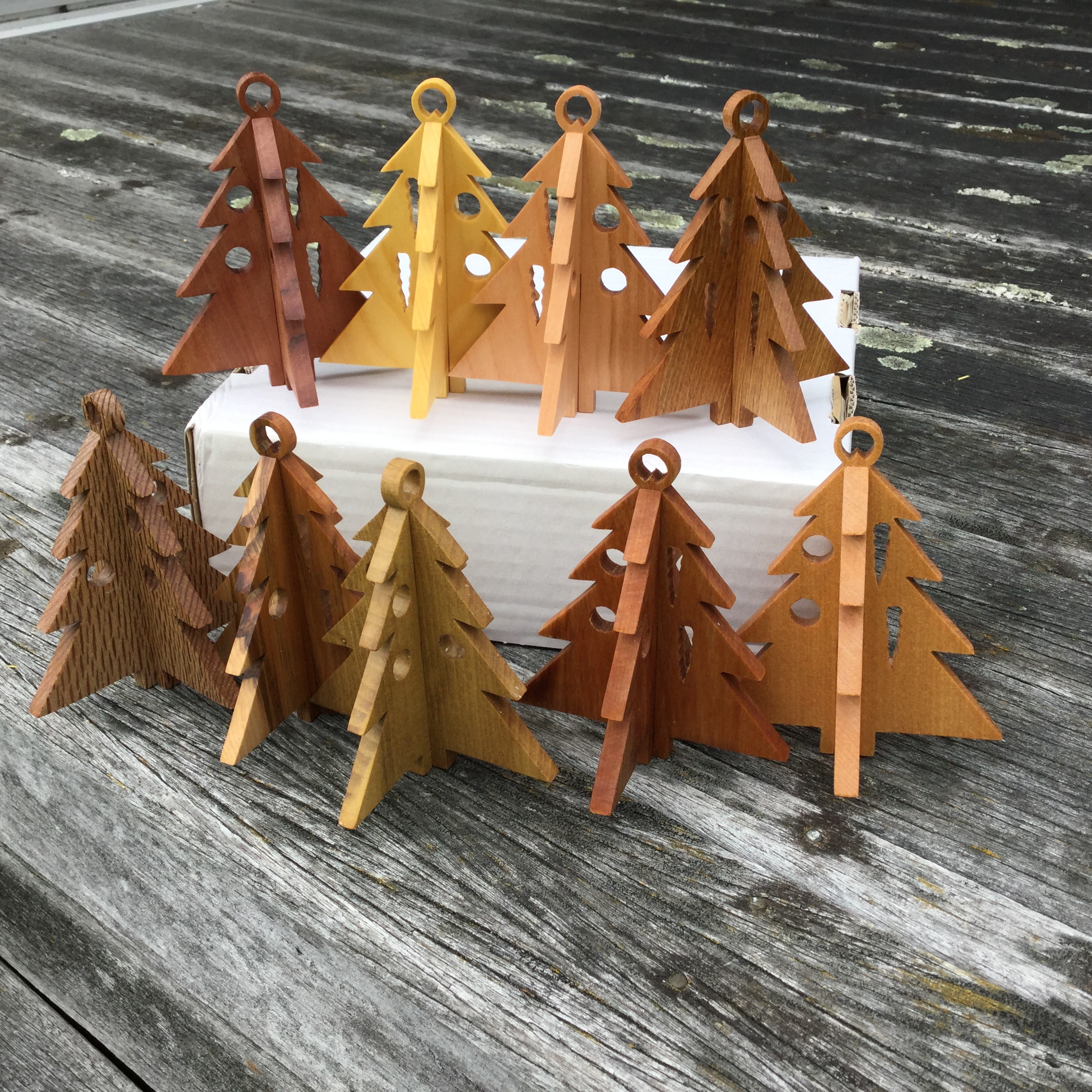 Native New Zealand Trees Fynwood Products